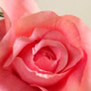 Meet your Posher, Marta